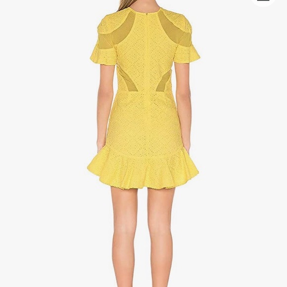 NEW NWT Karina Grimaldi Lila Eyelet Mini Dress - Picture 4 of 6